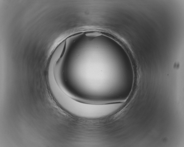 X0000112541365200908311436