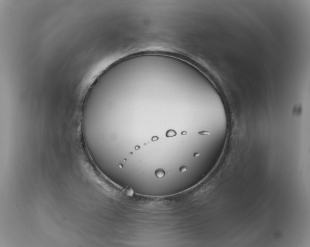X0000112541367200908311436
