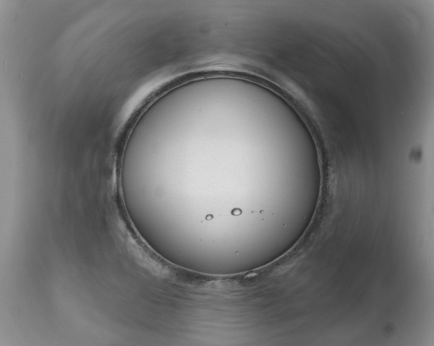 X0000112541368200908311436
