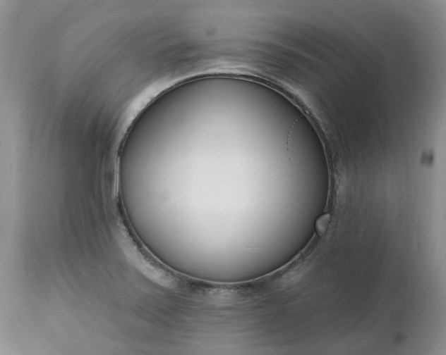 X0000112541371200908311436
