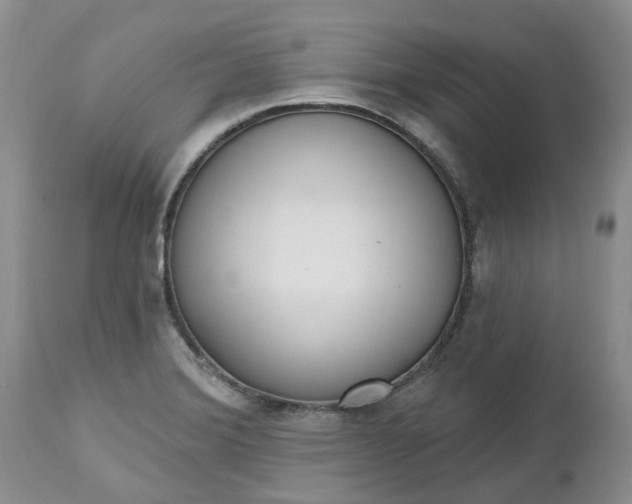 X0000112541372200908311436