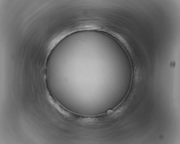 X0000112541373200908311436