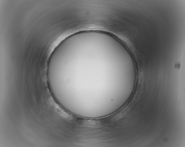 X0000112541374200908311436