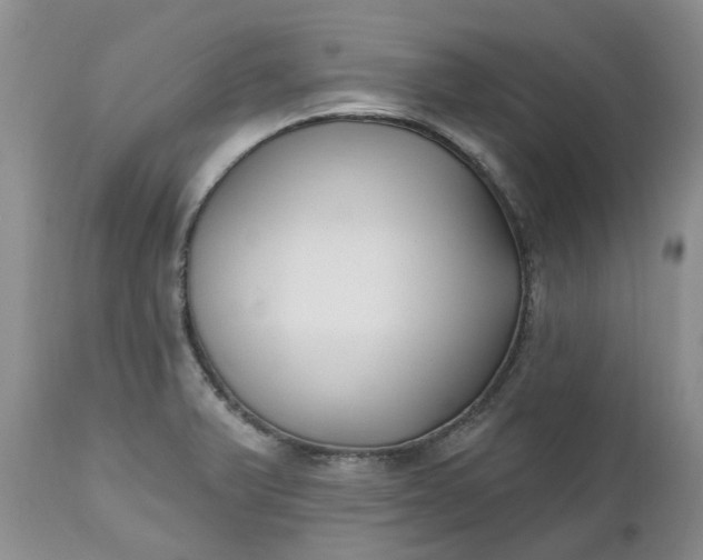 X0000112541375200908311436