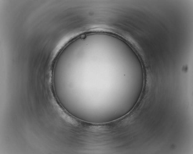 X0000112541376200908311436