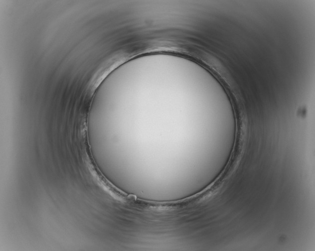 X0000112541377200908311436