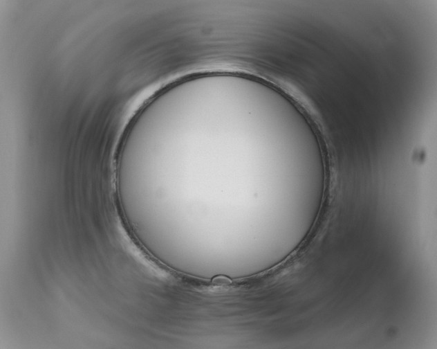 X0000112541380200908311436