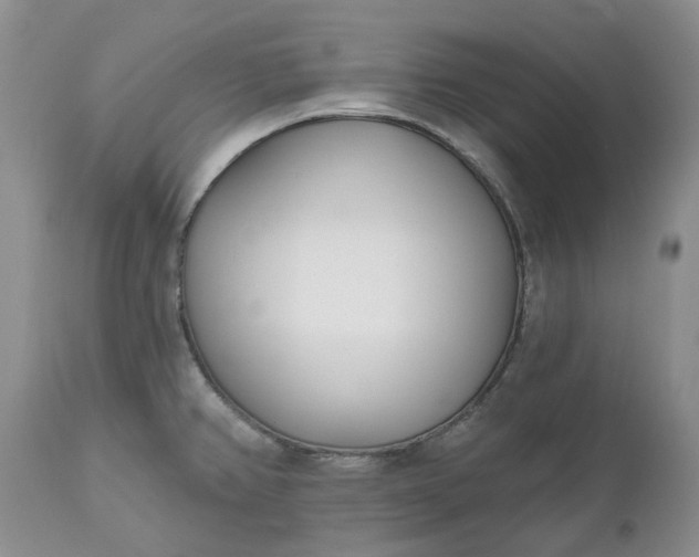 X0000112541382200908311436