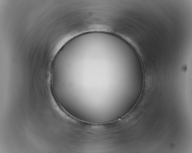 X0000112541383200908311436