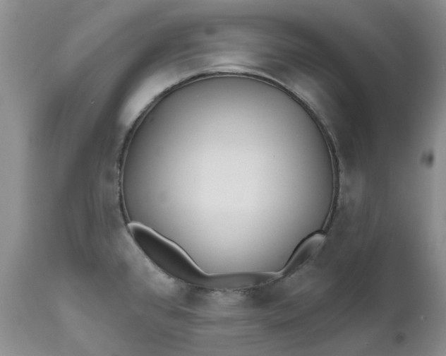 X0000112541384200908311436