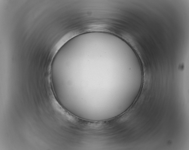 X0000112541386200908311436