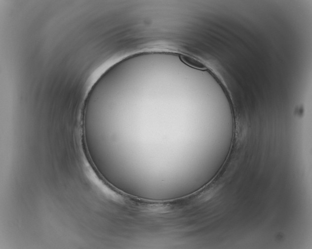 X0000112541387200908311436
