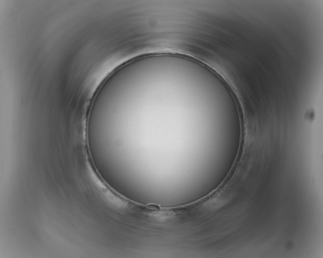 X0000112541388200908311436