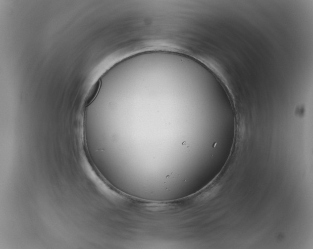 X0000112541391200908311436