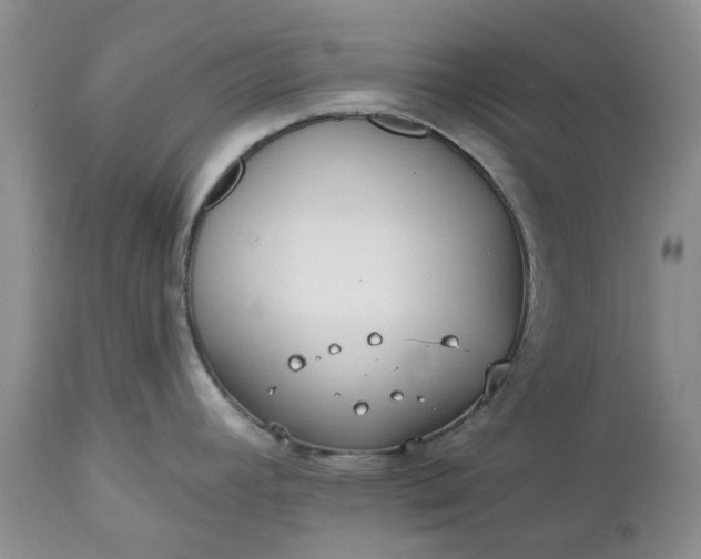 X0000112541392200908311436