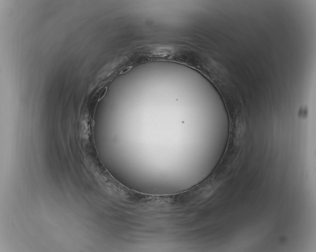 X0000112541394200908311435