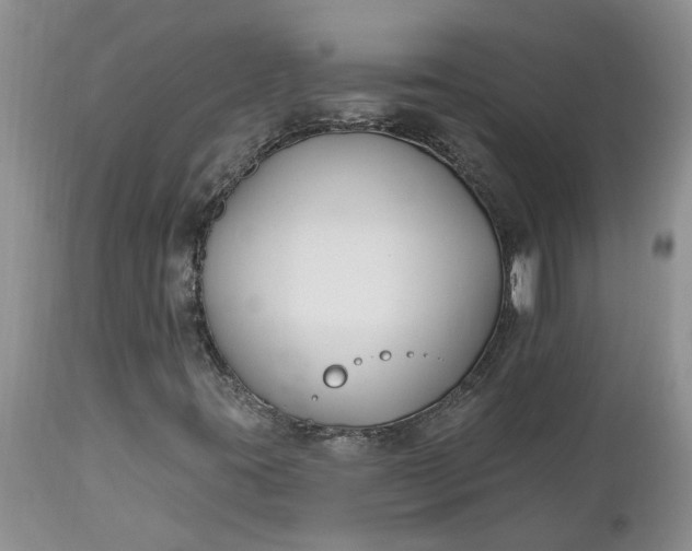 X0000112541395200908311435