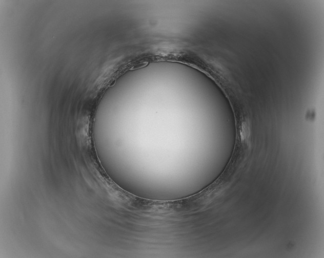 X0000112541396200908311435