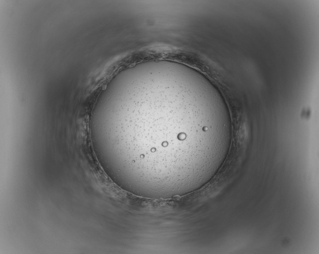X0000112541397200908311435