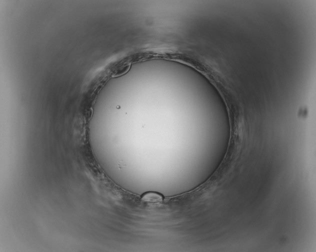 X0000112541398200908311435