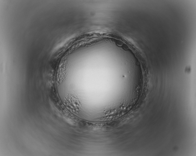 X0000112541399200908311435