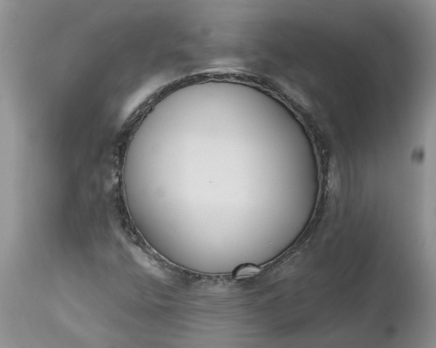 X0000112541400200908311435