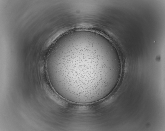 X0000112541401200908311435