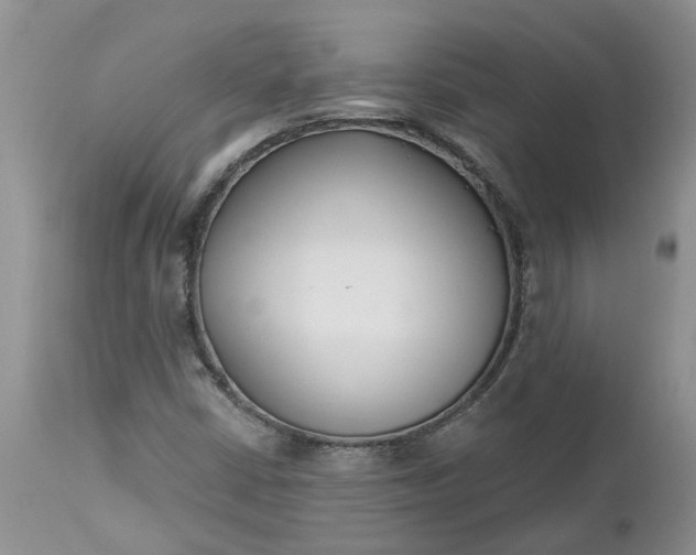 X0000112541402200908311435
