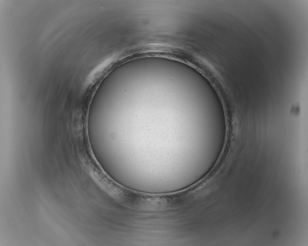 X0000112541403200908311435