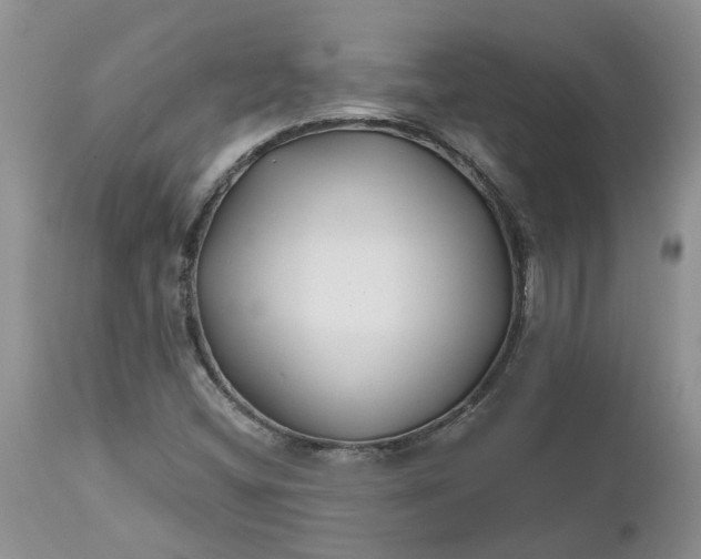 X0000112541404200908311435