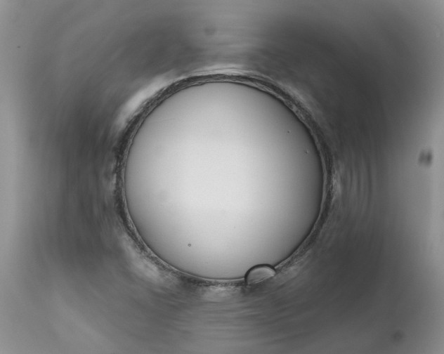 X0000112541406200908311435