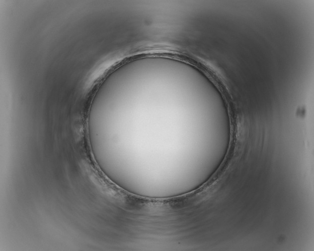 X0000112541407200908311435