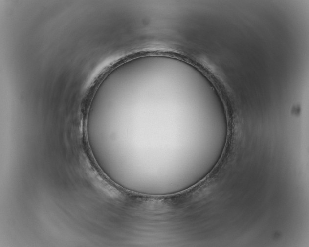 X0000112541408200908311435