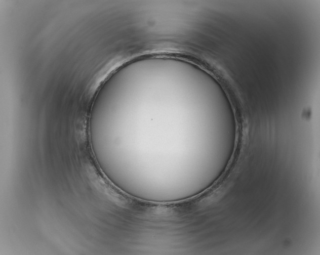 X0000112541409200908311435