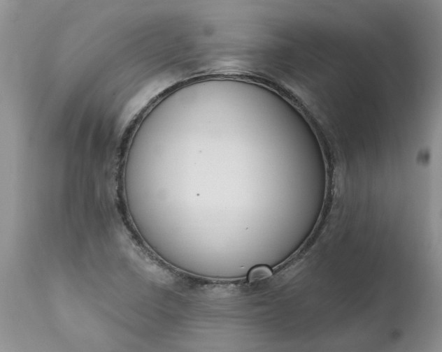 X0000112541410200908311435