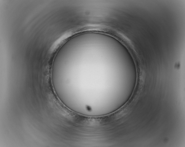 X0000112541411200908311435