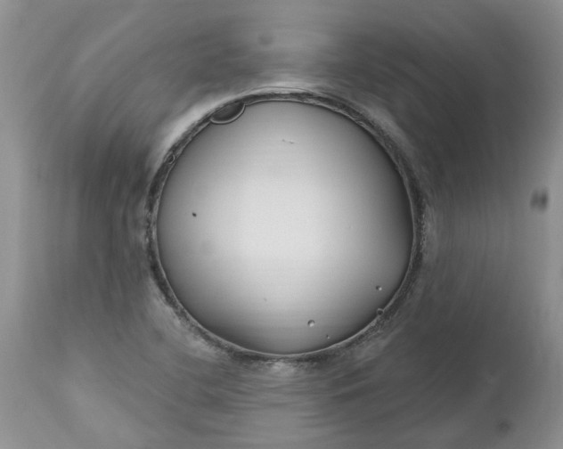 X0000112541412200908311435