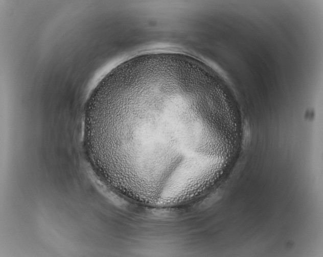 X0000112541413200908311435