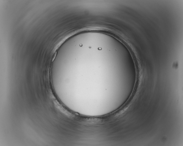 X0000112541417200908311435