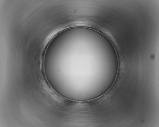 X0000112541419200908311435