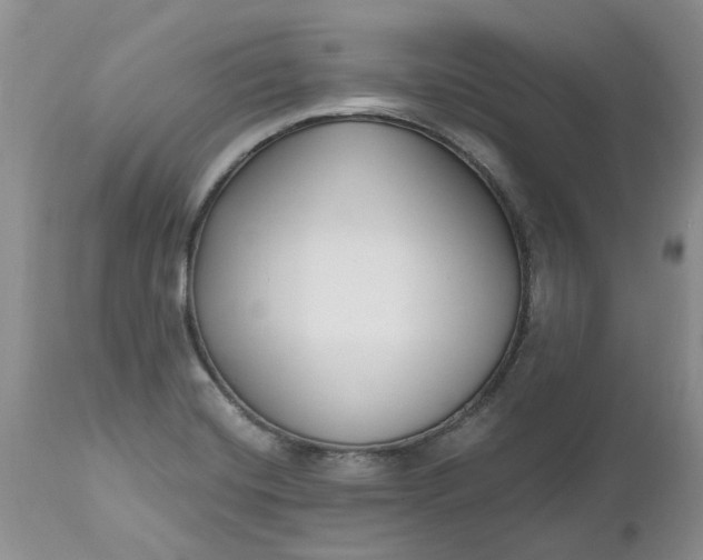 X0000112541420200908311435