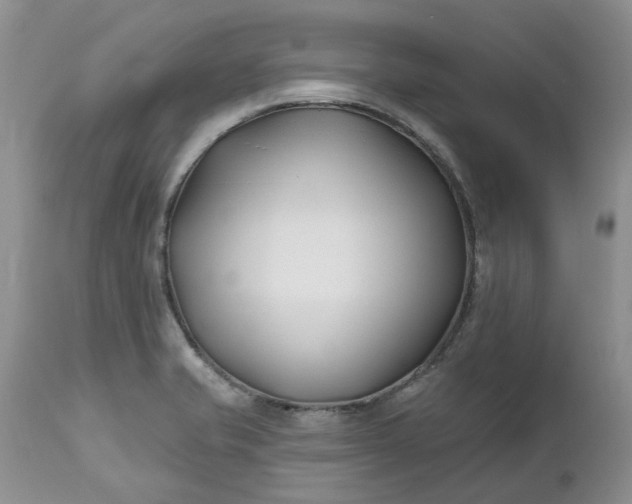 X0000112541421200908311435