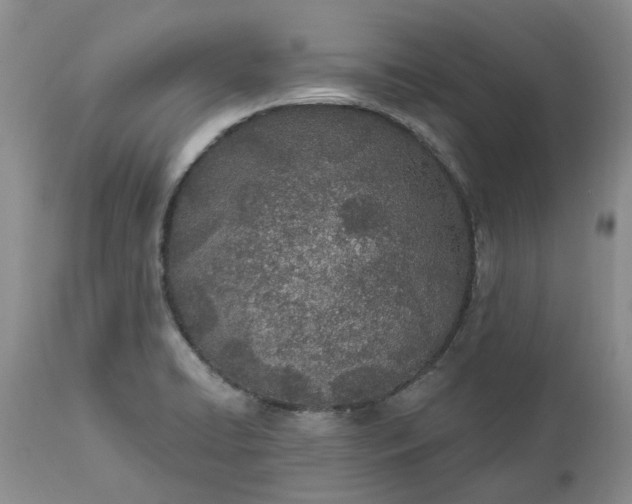 X0000112541422200908311435
