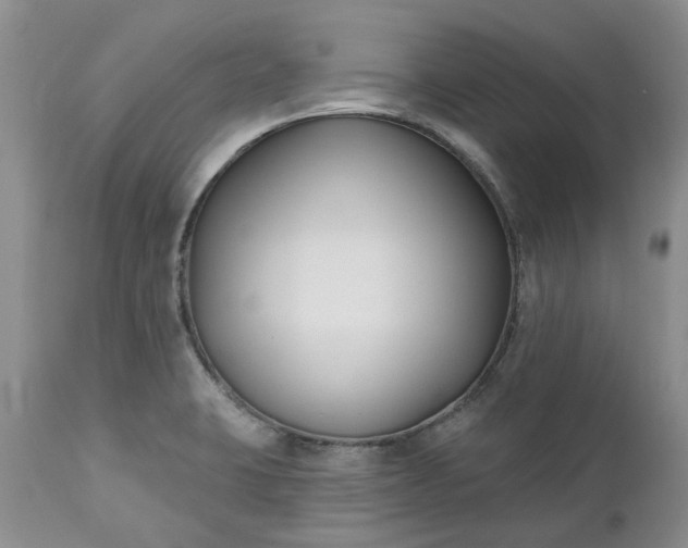 X0000112541423200908311435