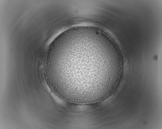 X0000112541425200908311435