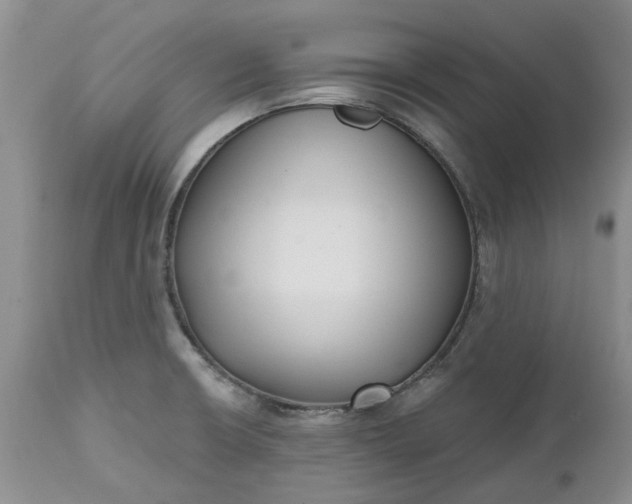 X0000112541426200908311435