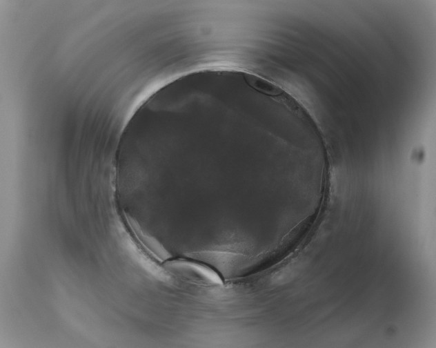 X0000112541428200908311435