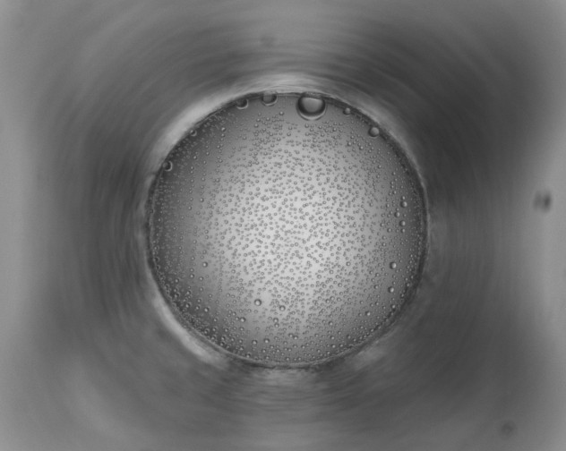 X0000112541429200908311435