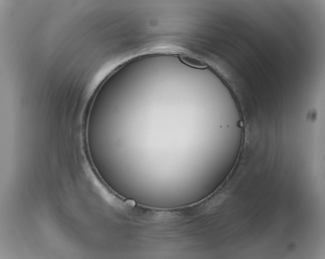 X0000112541430200908311435