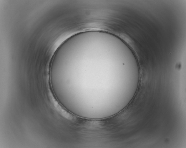 X0000112541431200908311435